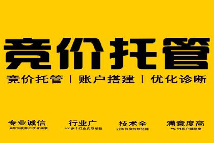 金融行业开户返点策略成功实例